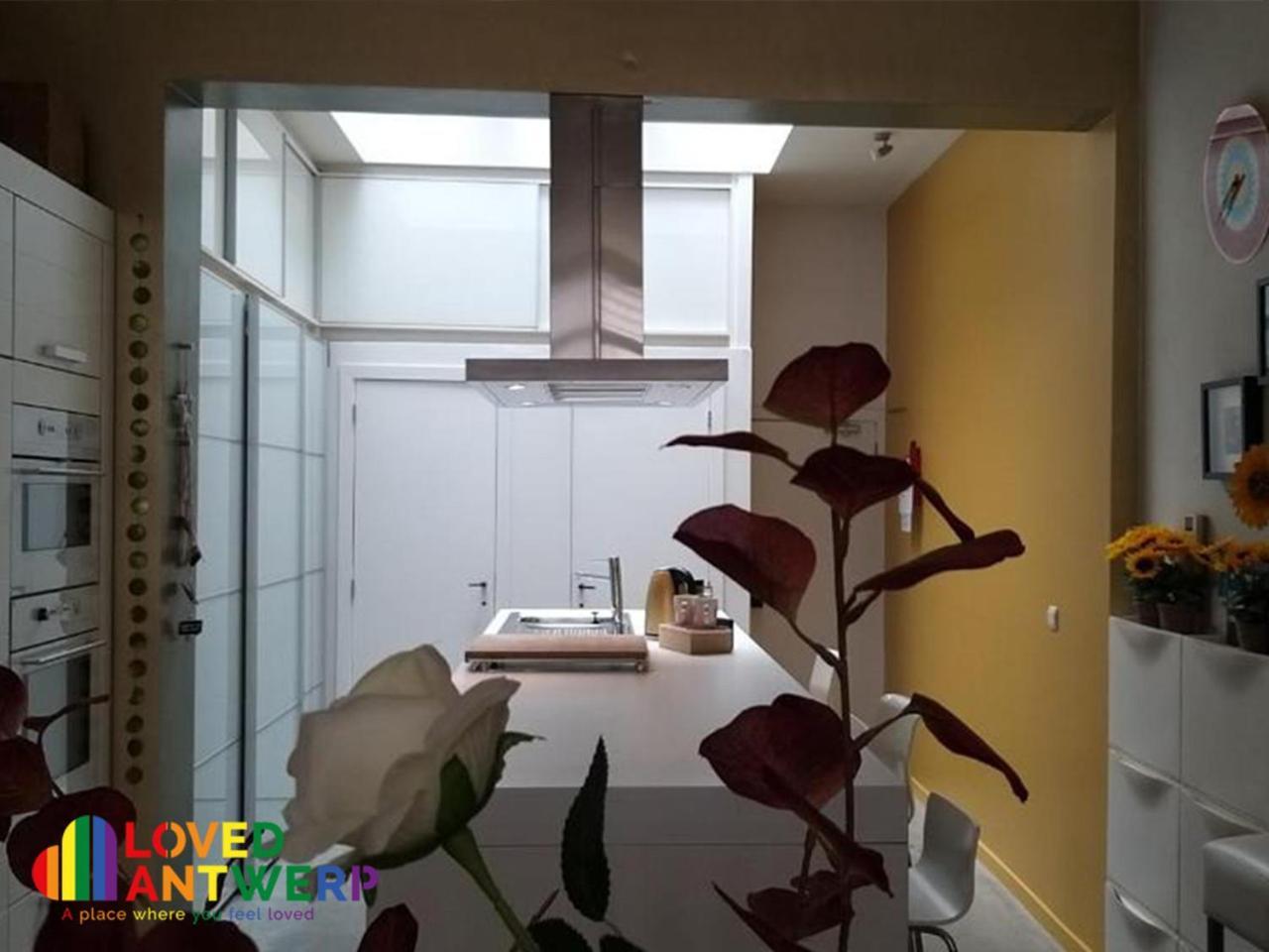 Appartamento Wellness Loft With Sauna, Jacuzzi, Roof Terrace & Amazing View Anversa Esterno foto